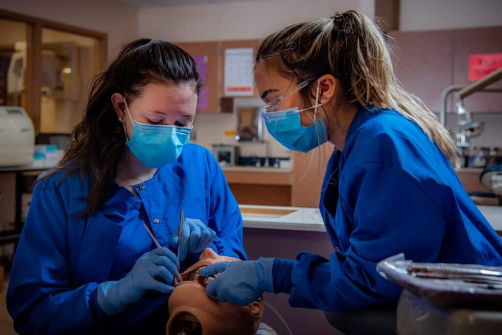 dia do dentista