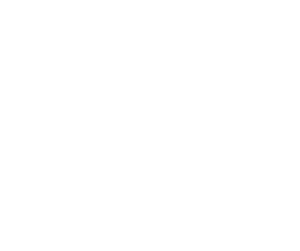 DVI Franchising